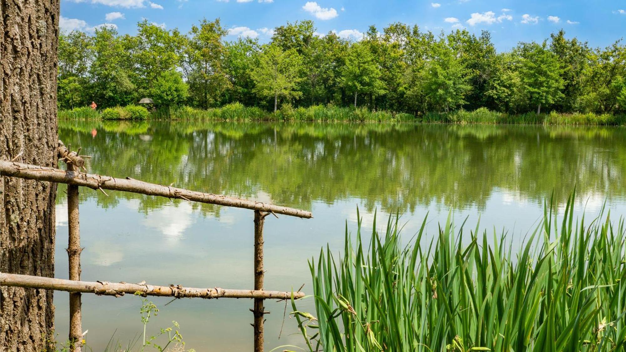 Camping Aubigny-Les Clouzeaux Aubigny  Экстерьер фото
